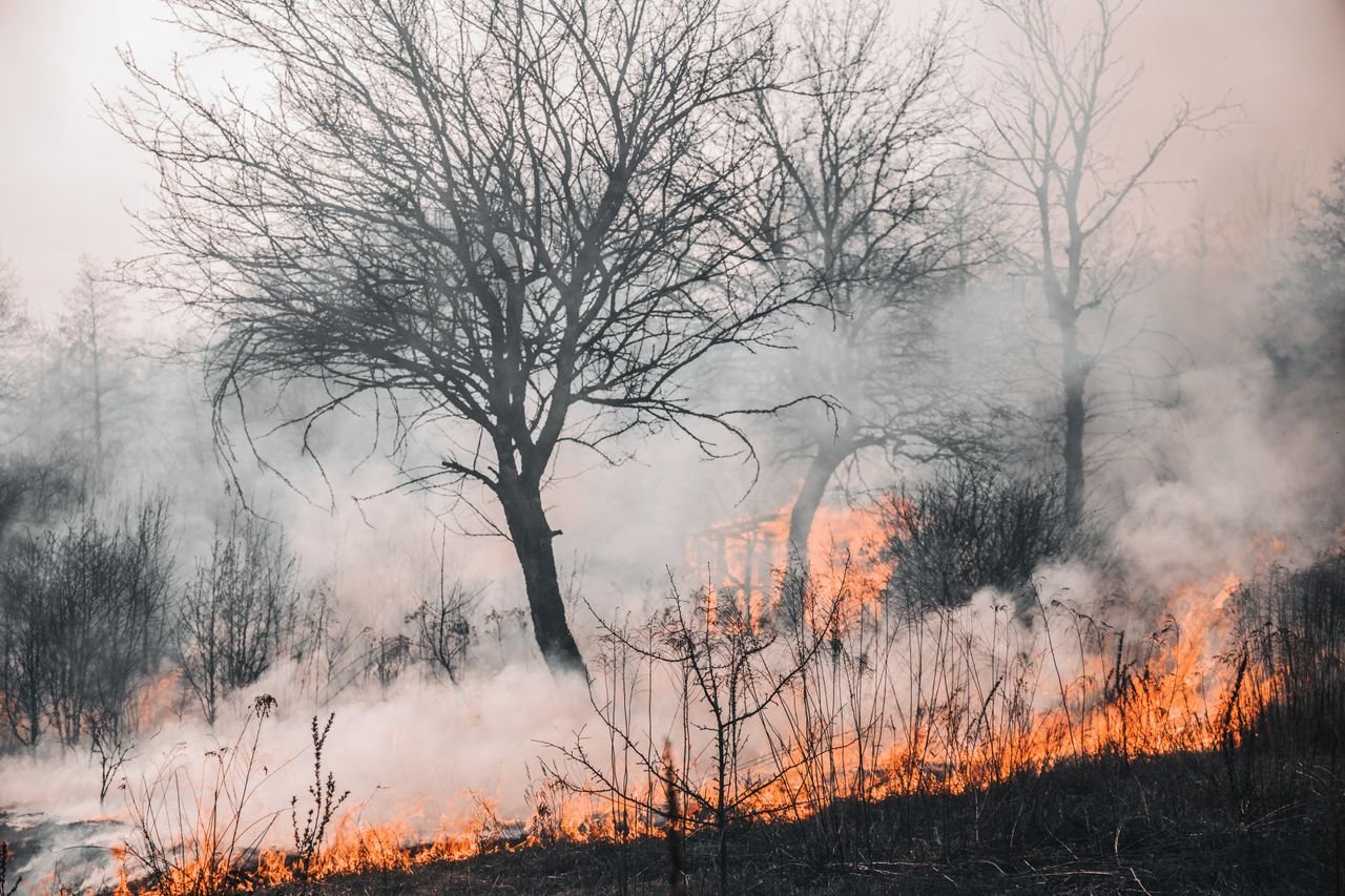 A devastating wildfire engulfing trees and landscape in Kyiv Oblast, creating a smoke-filled, haunting environment.